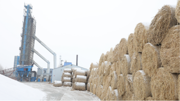 煤炭價格高，烘糧利潤低，吉林大安市500噸糧食烘干塔改用秸稈大包直燃鍋爐，每天省3萬
